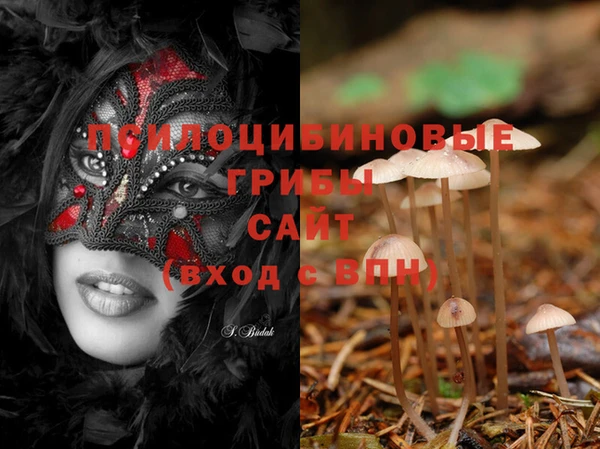 mix Белокуриха