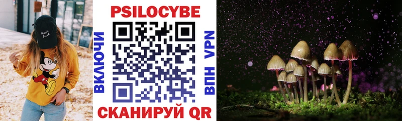 сайты даркнета как зайти  Ясный  Галлюциногенные грибы Magic Shrooms 